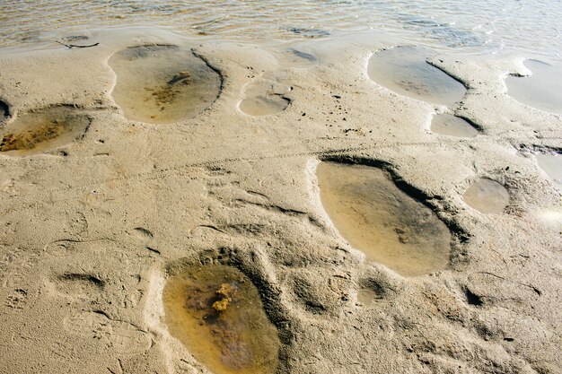 海砂のテクスチャ水