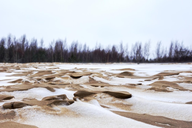 Sea sand with white snow, gray sky and dark green trees