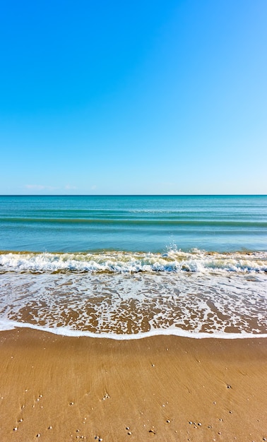 Sea and sandy beach. Seascape, vertical view, wallpaper for mobile devices