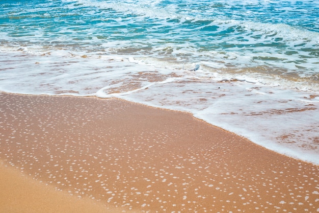 Sea sandy shore with an oncoming foam wave. Travel and tourism. Natural summer background.