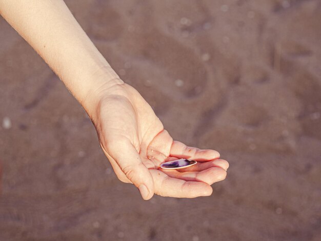 Sea shell on boy39s hand against the sea beach family vacation\
at sea summer is coming concept