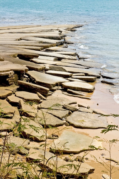 Ископаемые морские раковины в Краби, Таиланд