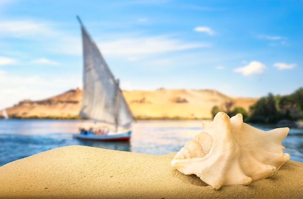 Sea shell in sand and sailboat on river Nile