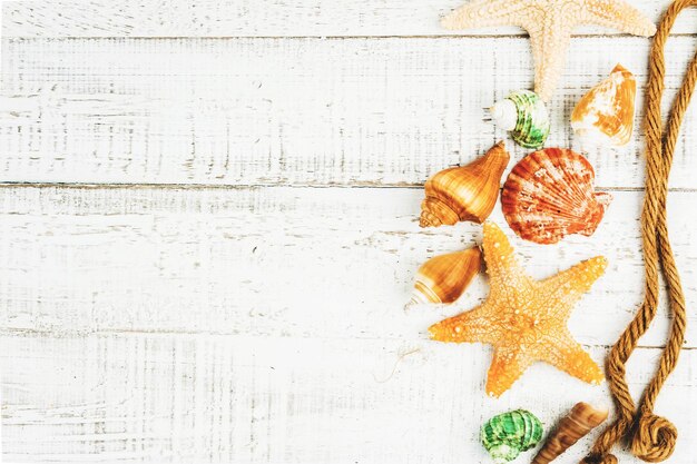 Sea shellfish on white wood background