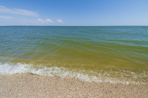 Sea shells beach