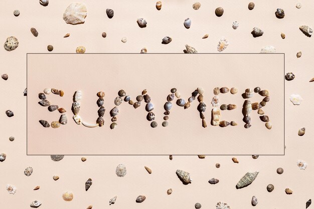 Foto sfondi di collage di conchiglie di mare lettere d'estate da conchiglia di mare