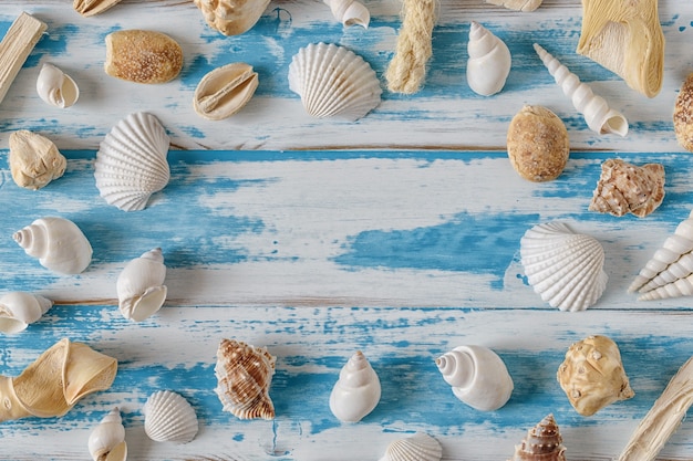 Photo sea shells frame on vintage blue wooden board