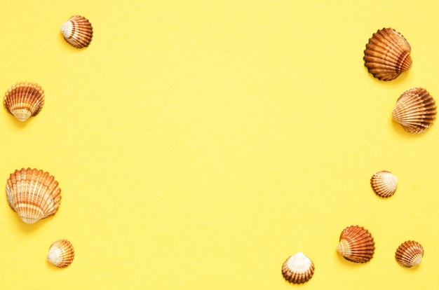 Sea shells pattern on yellow paper background. Summer concept. 