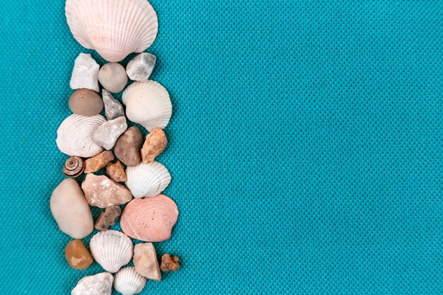 Sea shells and rocks on blue