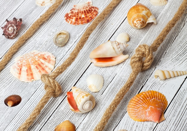 Sea shells and rope on a light wooden table