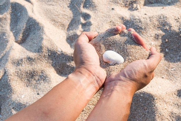 Sea shells and sand in  hands background