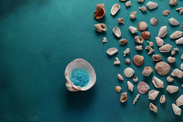 Conchiglie di mare su uno sfondo di colore dell'onda del mare. concetto di vacanza estiva. spazio per il testo.