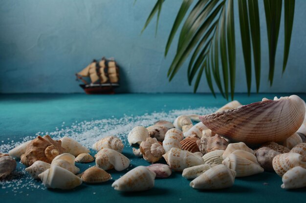 Sea shells on a sea wave color background. Summer vacation concept. Space for the text.