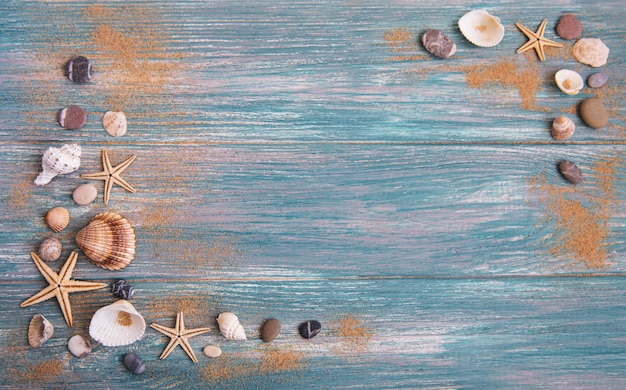 Sea shells on a wooden table