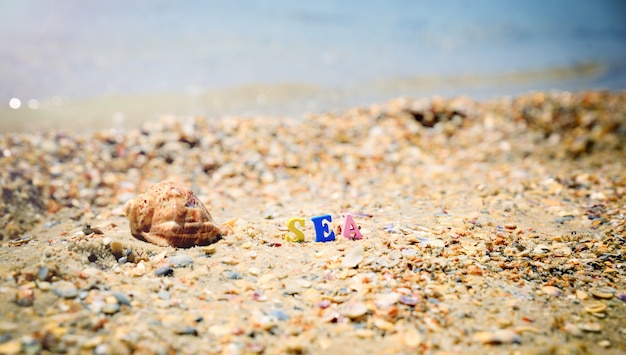 Sea shore from seashells and the inscription sea