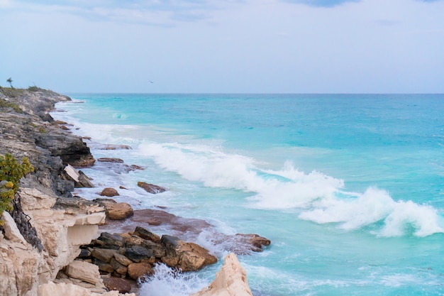 Sea shore and stones close in Cuba