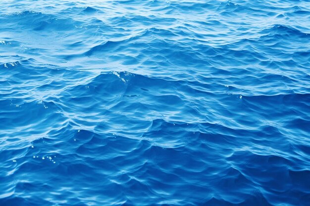 Premium Photo | Sea Sirens Song
