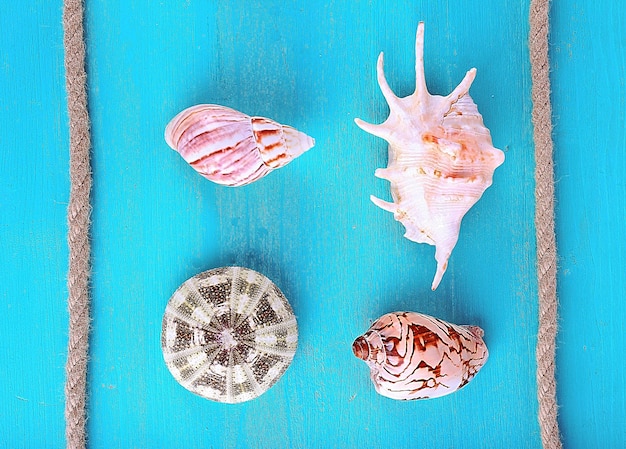 Фото Морские сувениры на синем фоне
