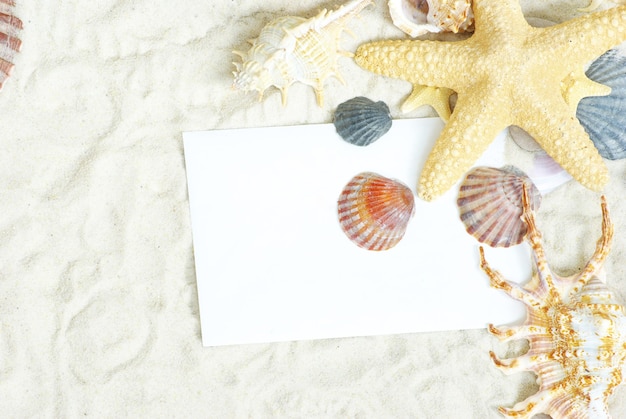 Photo sea stars and shells an blank postcard on sands