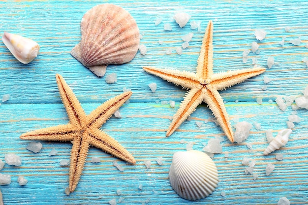 Sea stars and shells on wooden background