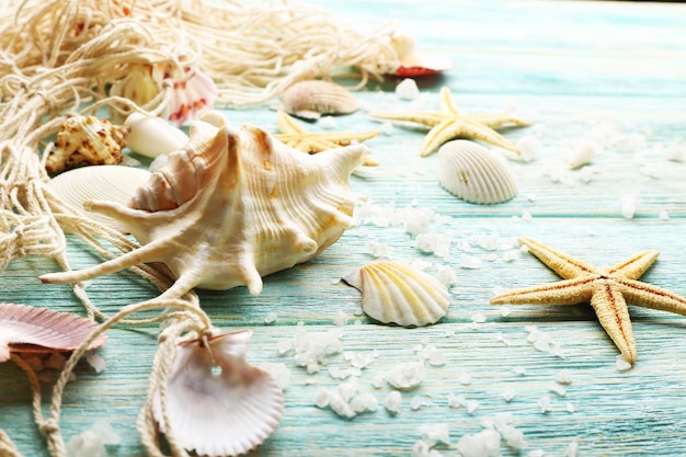 Морские звезды и ракушки на деревянном фоне