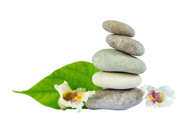 Sea stones with leaf isolated on white background Concept of harmony and tranquility