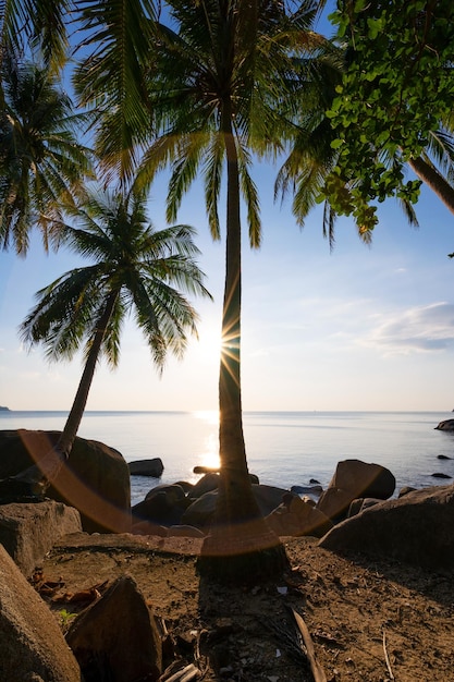 Sea summer vacations concept background Nature frame with coconut palm trees on the seashore with sun light flare beautiful sunset or sunrise landscape background