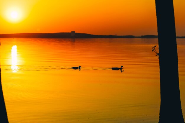 Sea at sunset bright yellowred sunset