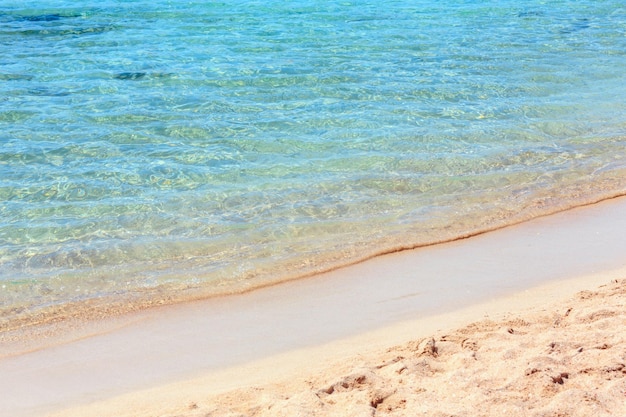 ビーチでの海のサーフィン