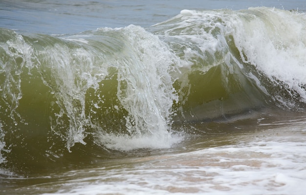 Foto sea surf geweldige golfpauze aan de kustlijn
