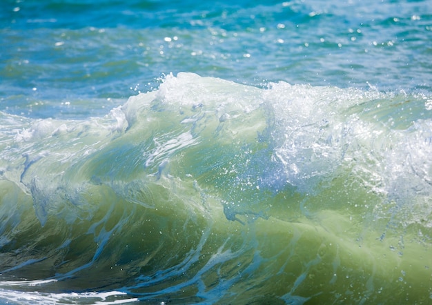 写真 海岸線での海の波の大きな波の休憩
