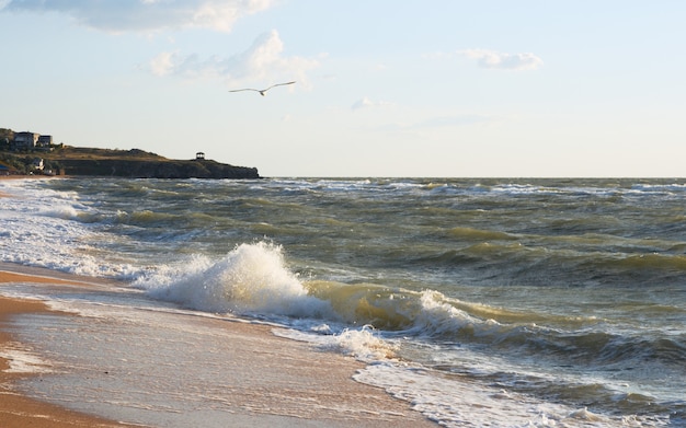 Sea surf wave break on coastline