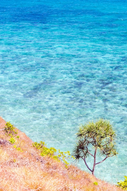 Foto superficie del mare con roccia aerea