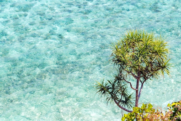 Foto superficie del mare con roccia aerea