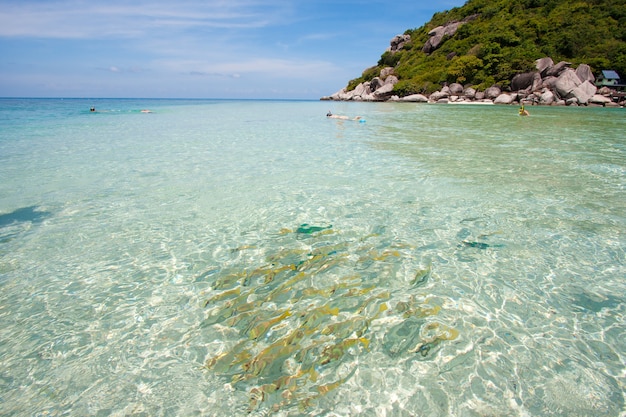 Sea Thailand