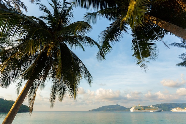 Foto mare. paradiso tropicale.