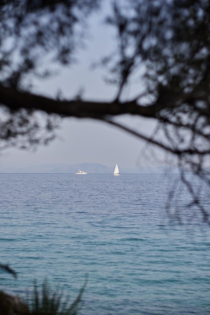 写真 海の景色、中央のボート