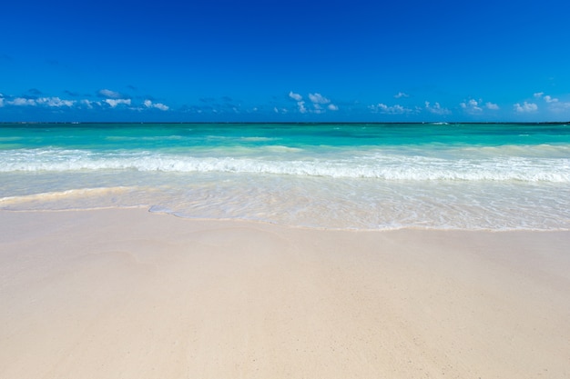 Photo sea view from tropical beach with sunny sky