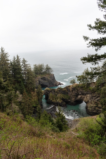 Вид на море с прибрежным лесом на скалистом побережье в Орегоне, США.