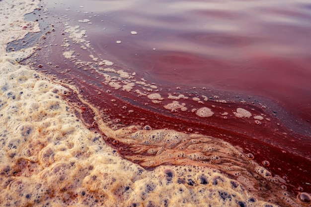 Морская вода в соляном хозяйстве. сельское хозяйство в таиланде. процесс сохранения воды в течение 3 месяцев для повышения концентрации соли в соляном хозяйстве.