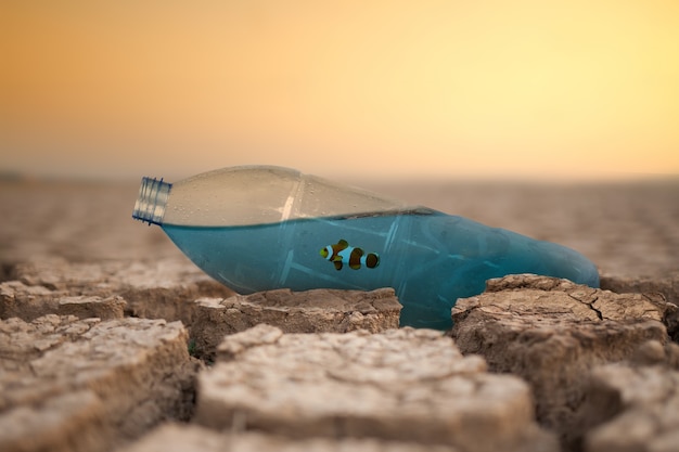 Photo sea water in plastic bottle with fish on dry cracked earth metaphor climate change