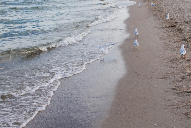 Морская вода на берегу и ясное небо