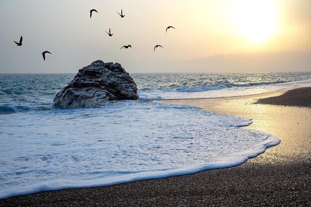 Foto le onde del mare battono sulla roccia contro le silhouette del tramonto di un gregge di uccelli volanti