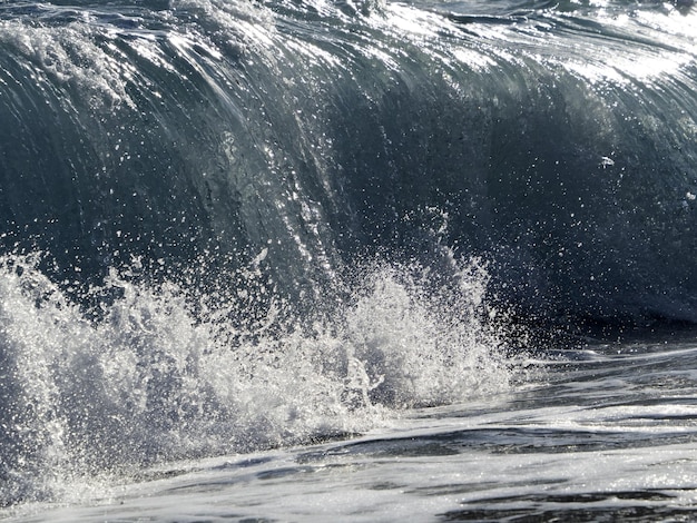 Sea wave on the shore