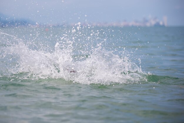 写真 海の波は白い泡でスプラッシュする