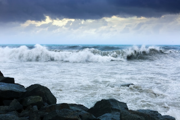 風の強い日の海の波