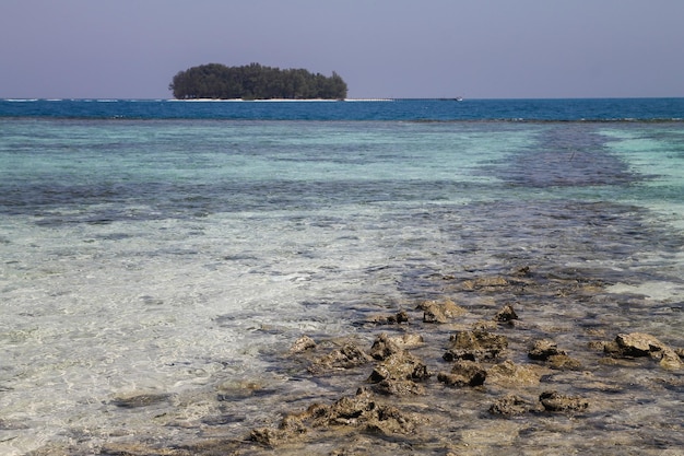 ビーチの海の波