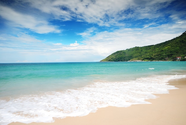 Sea waves on the beach