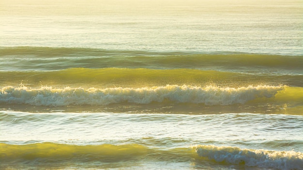 朝の海の波