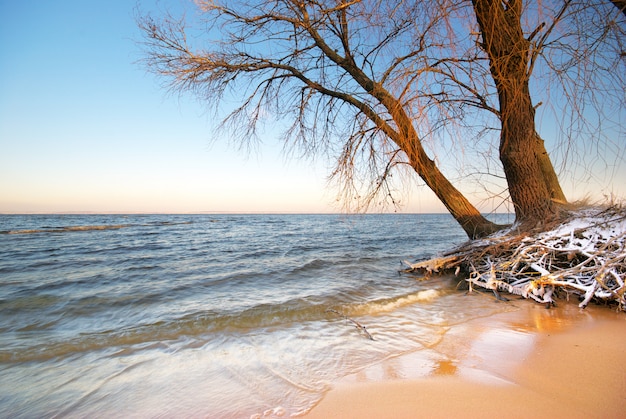 Sea and winter